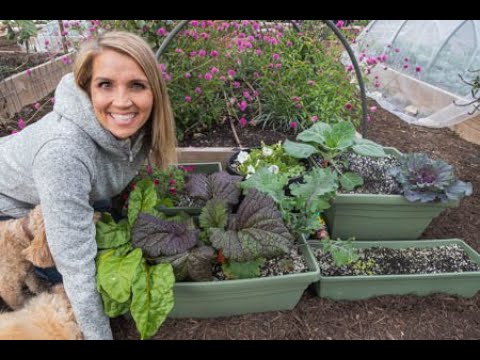 Which potting soil is the best? I tested 6 varieties in my garden, see the side by side comparison.