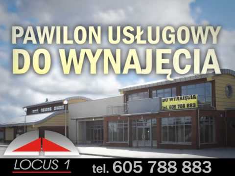 LOCUS 1 POMIESZCZENIA DO WYNAJĘCIA telebim megaled Żary