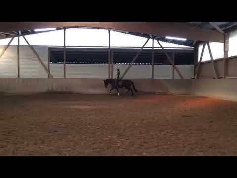 3j. Wallach von Edward/ Angard/Pygmalion