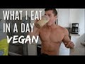 What a vegan pro bodybuilder Eats in a Day VEGAN BULK | Workout with Amanda Bucci