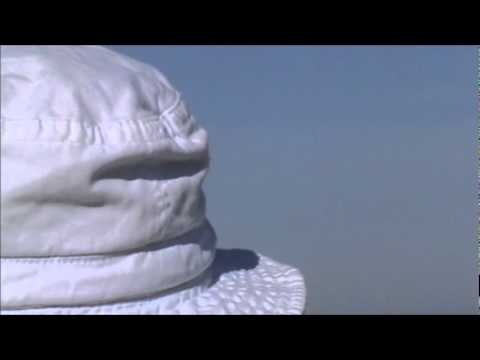 2011 Blue Angels Homecoming Airshow - Stearmans & 1911 Curtis Pusher