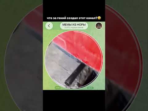 Тгк: memyiznory #мемы #прикол #кружок #мем #приколы #юмор #смешно