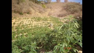 PISTA SECRETA(cadetes de linares) SONIDO 100%CHILANGO DE VICTOR ROJAS ARREGUIN