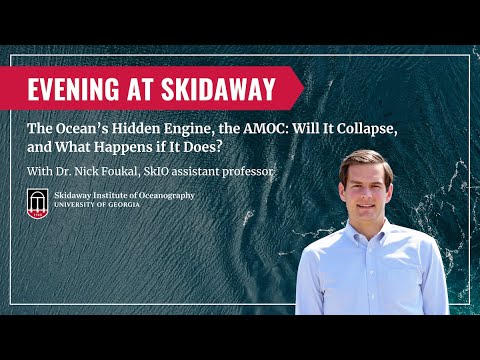The Ocean’s Hidden Engine, the AMOC: Will It Collapse, and What Happens if It Does?