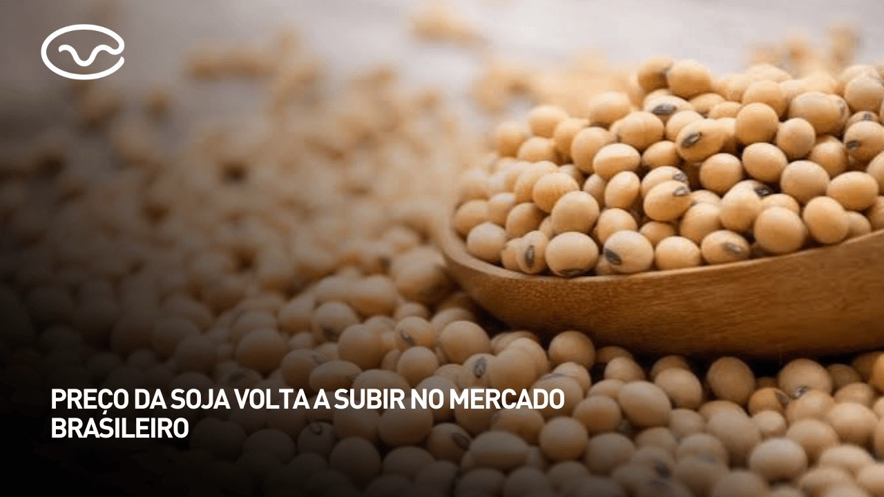 Preço da soja volta a subir no mercado brasileiro
