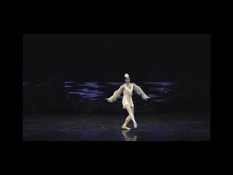 Shurale - Variation - Thais Diógenes