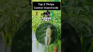 Download lagu Top 🔝 5 Insecticide For Thrips Control #farming #shorts #thrips #youtubeshorts mp3