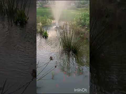#cake #chocolate #food #experiment #morocco #science #اكسبلور #cooking #icecream #pasta #garden