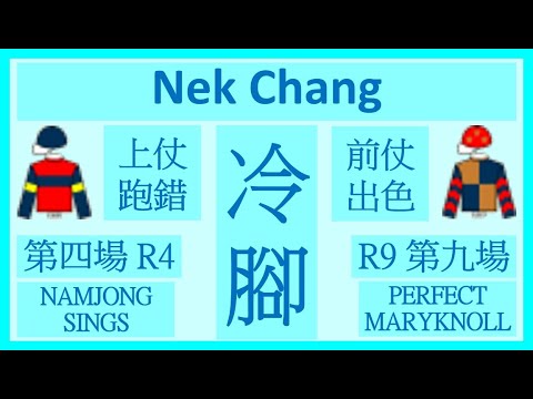 【賽馬貼士】Nek Chang 冷腳 R4 上仗跑錯 NAMJONG SINGS R9 前仗出色 PERFECT MARYKNOLL Hong Kong Horse Racing Tips