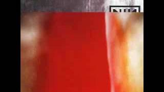 Nine Inch Nails - Please (Right)
