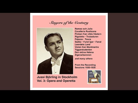 「アイスランド」:アクセル・プラールとローランド・カイザーによる感動の映画