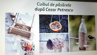 Cuibul de Păsărele