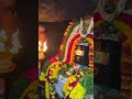 Sivaya Namaha Sivayanamaha