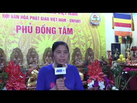 CẢM XÚC CỦA CHỊ DIỆU HUYỀN TẠI PHỦ ĐỒNG TÂM