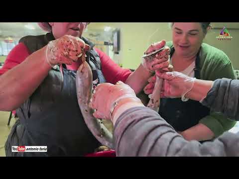 Black pudding and lunch at the Xavier and Madruga pig slaughterhouse 2025 California