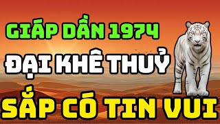 Tuổi Giáp Dần 1974 Là Người Có Phúc Có Phần, Về Già Hưởng Lộc Tổ Tiên Nếu Biết Sớm 8 Điều Này