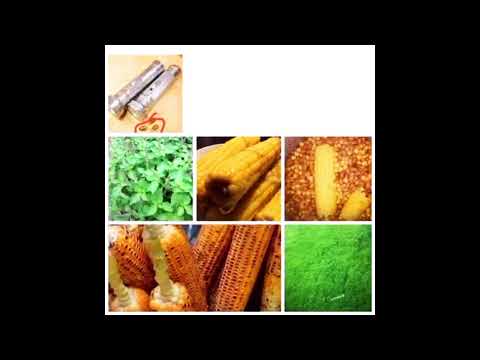 oromo music 🎶 new jiru joluma