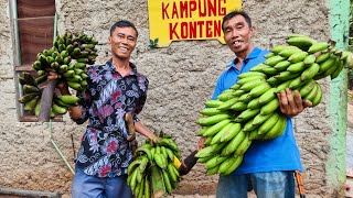 Download lagu Pikaseurieun mp3 Download lagu Pikaseurieun mp3