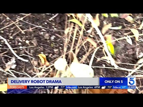 Food delivery robot goes rogue in East Hollywood