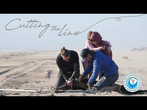 Cutting the Line Teaser #2