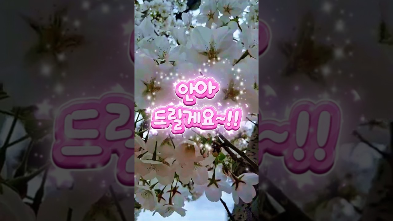 강문경님이 그냥 안아드립니다 #강문경 #강문경신곡 #뽕신 #팬클럽사랑신 #트로트 #강문경콘서트