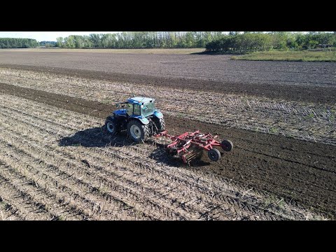 Tárcsázás, NewHolland TM165 + Pallada 4m