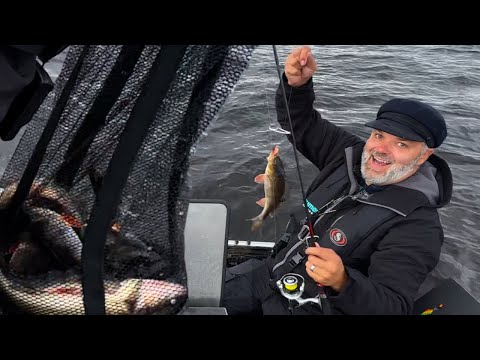 Syksyn Kalat Tankkaavat Ahnaasti - Kuha Penkasta & Ahvenet Kivikosta - Jigikalastusta Järvellä 