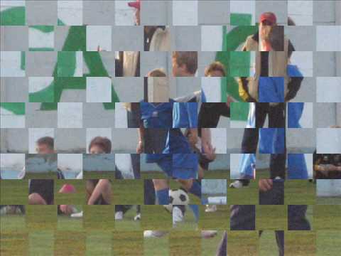 anzio-lavinio pulcini 99