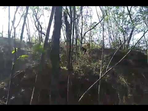 Sabreen - trekking...(2)