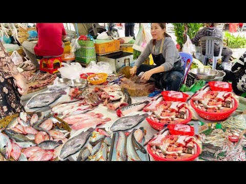 Amazing Cambodia Street Food Tour Compilation- Grilled Food, Fried Fish Meatballs, Snacks & Market