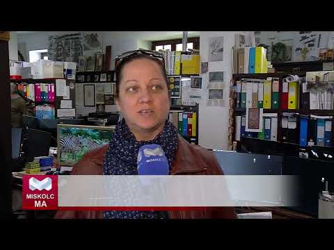 Videó előnézet
