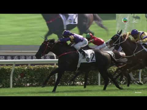 12/12/2021 (245) 疾風明駒 (D426) 潘頓