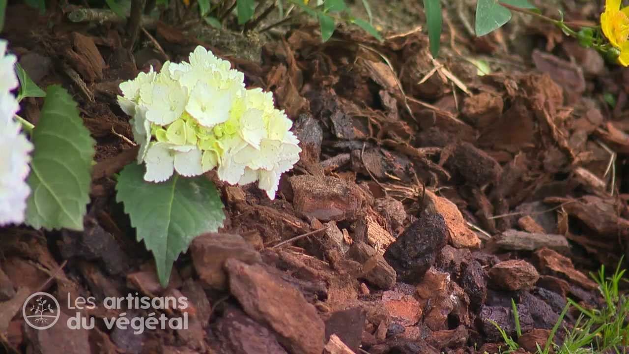 Techniques & Astuces pour un paillage efficace