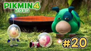 スパニエル救出へ決戦【ピクミン４】#20