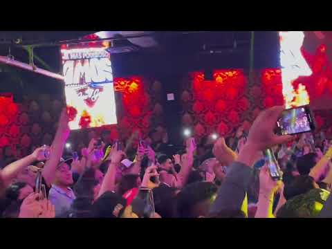 El Patron Ny Bronx