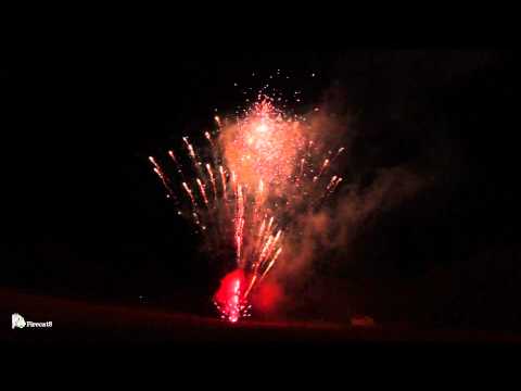 Flower King - 300 Shot Z&I Crackling Red Tail, Purple Dahlia Green Strobe (1.3g)