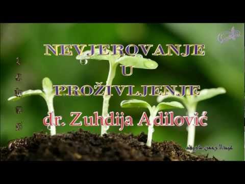 Nevjerovanje u proživljenje - dr. Zuhdija Adilović