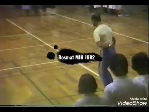 Moshiko Halevy - Bosmat *1980* מושיקו הלוי - בשמת