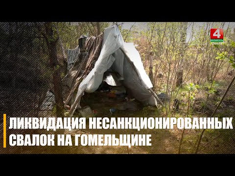 На Гомельщине ликвидировали несколько несанкционированных свалок видео