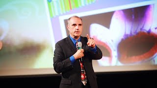 Homicide in a Raging Stream, Human Behavior, June 16