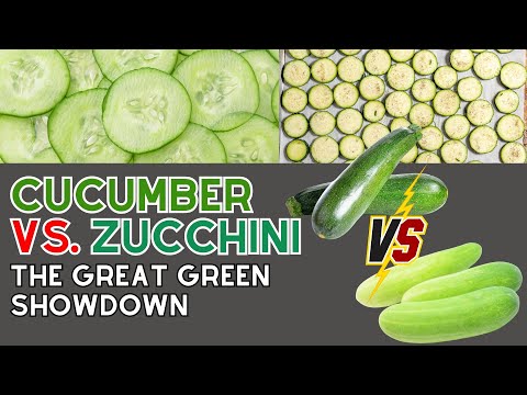 Cucumber vs Zucchini: Can You Really Tell Them Apart?