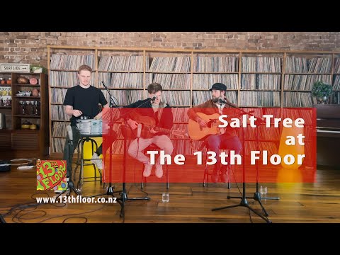 Salt Tree at The 13th Floor