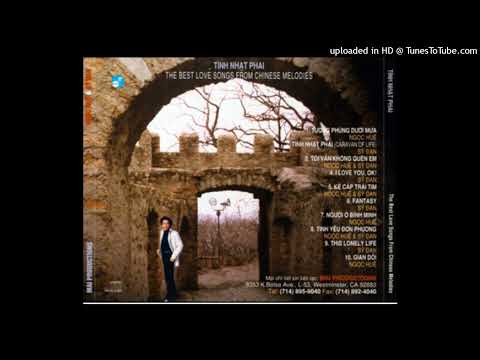 Người ở lại bình minh (Hạnh phúc vỡ tan- Người ở lại bình minh - Jan zoi lai ming - 人在黎明) - Ngọc Huệ