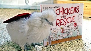 Children’s Chicken Book Review | CHICKENS TO THE RESCUE by John Himmelman