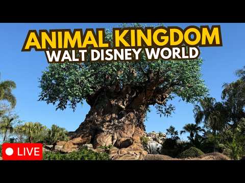 🔴 Live: Disney's Animal Kingdom Lets Go Wild -  Walt Disney World 03.06.2026