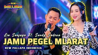 Download lagu JAMU PEGEL MLARAT - LIA SANJAYA FT. SANDY SADEWA - NEW PALLAPA mp3