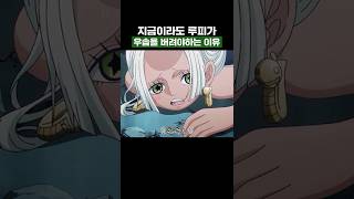 원피스) 지금이라도 루피가 우솝을 버려야하는 이유 #원피스 #onepiece