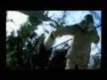 Walking With Beasts (Big Cat Diary Version)