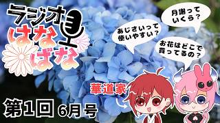 華道家＆華道経験者が、いけばな雑談ラジオ、始めます【ラジオはなばな　第1回】