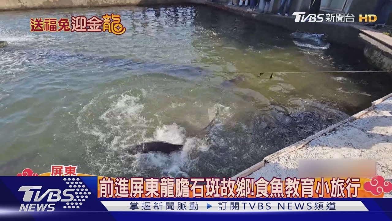 食魚教育夯!前進屏東龍膽石斑故鄉 充當一日漁夫